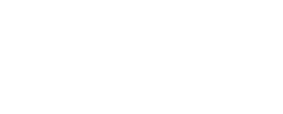 damon braces logo