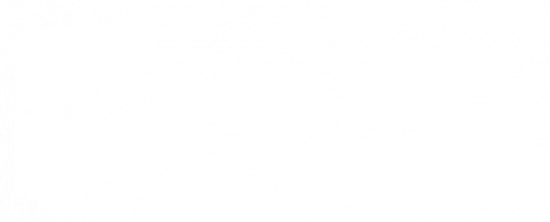 Damon Orthodontics